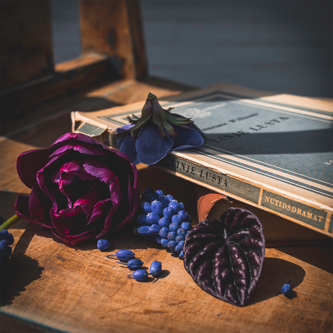 Books not dreams